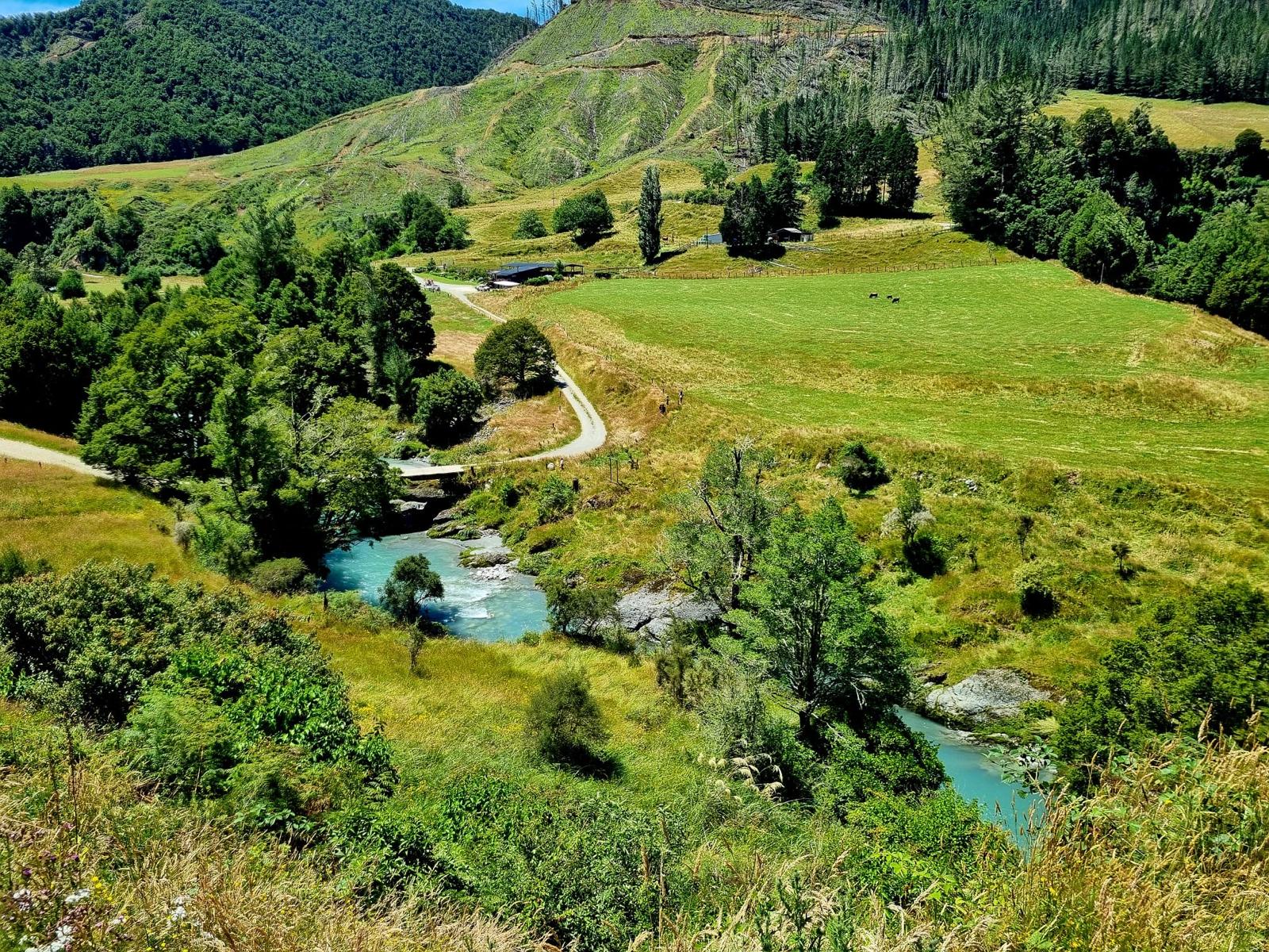 Braided river running through bush and farmland