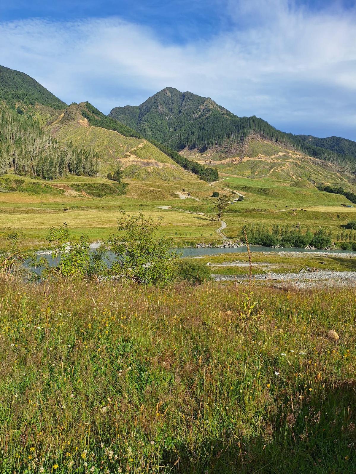 Braided river and mountains near Wilderbliss